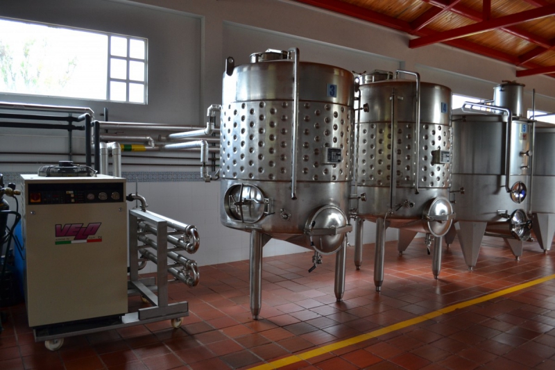 cave-CASTELLAR-min_wine_production_cantine_winery_drink_alcohol_vine_beverage-902036